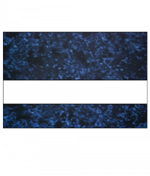 Rowmark FlexiColor Celestial blue/white 1238x610x0,5mm 